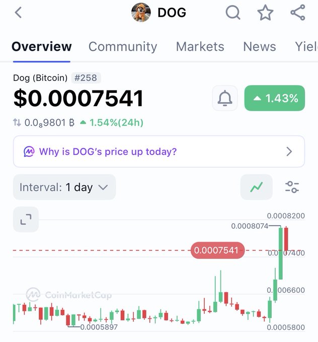 A CoinMarketCap overview page for 'Dog (Bitcoin) DOG' ranked #258, priced at $0.0007541, up 1.43%, with a 1-day candlestick chart showing recent price movement.