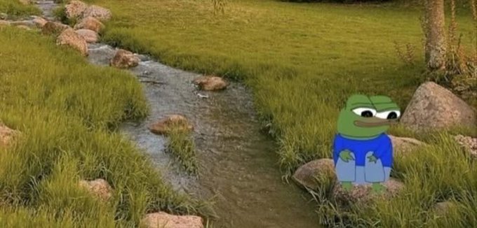 A cartoon frog character wearing a blue shirt sits on a rock beside a small stream flowing through a grassy landscape.