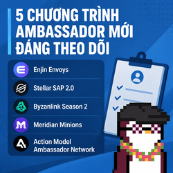 A Vietnamese promotional graphic titled '5 CHƯƠNG TRÌNH AMBASSADOR MỚI ĐÁNG THEO DÕI' (5 New Ambassador Programs Worth Following), listing Enjin Envoys, Stellar SAP 2.0, Byzanlink Season 2, Meridian Minions, and Action Model Ambassador Network.