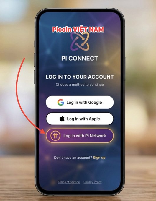 A smartphone screen displays the "Picoin VIỆT NAM / PI CONNECT" login page, showing three sign-in options: "Log in with Google," "Log in with Apple," and "Log in with Pi Network" (highlighted with a red arrow). The image illustrates the accompanying post's message about Pi Network bridging Web2 and Web3 by offering a Web3 login option alongside traditional Google and Apple sign-ins.