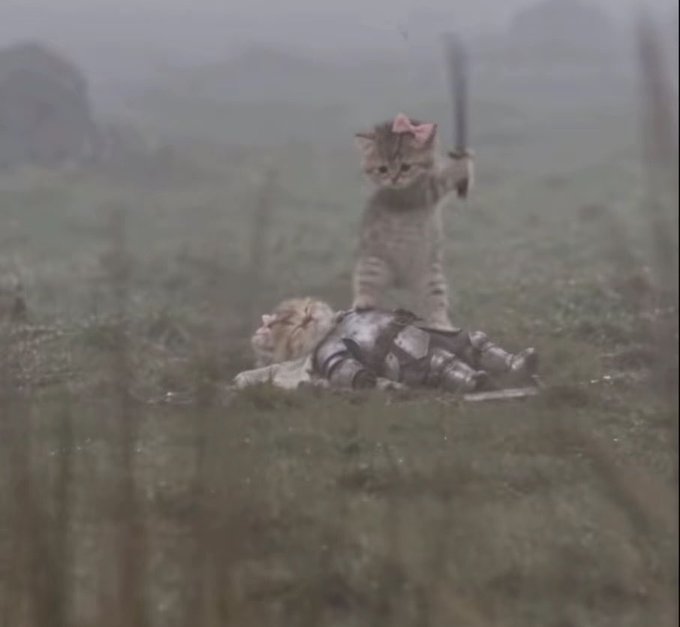 A small kitten standing triumphantly on top of a fallen armored knight, holding a sword in its paw in a misty grassy field.