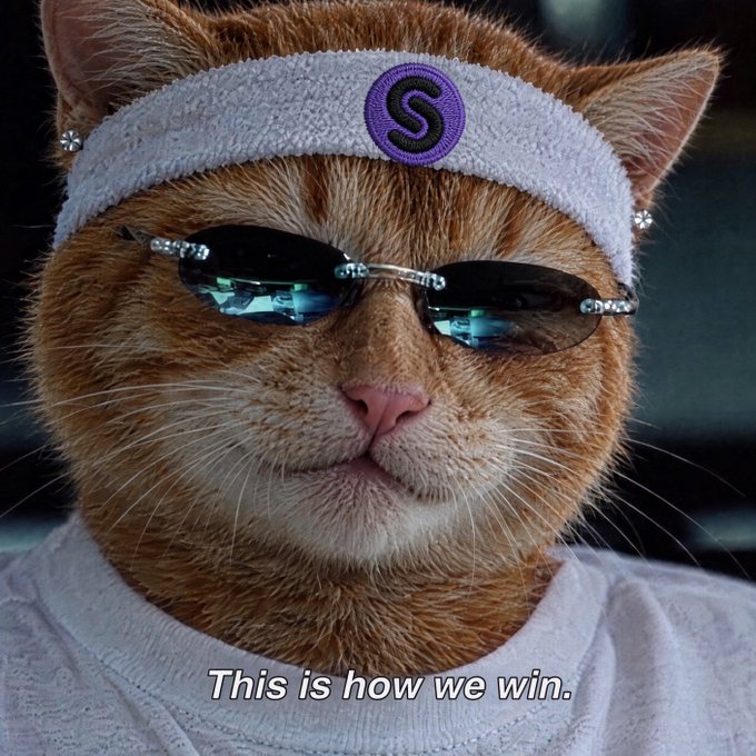 A meme-style image of an orange tabby cat wearing a white headband with a purple 'S' logo, dark sunglasses with rhinestone accents, and a gray shirt, with the caption 'This is how we win.'
