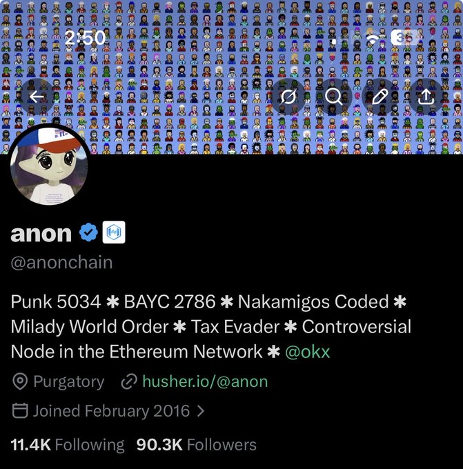 Twitter/X profile for @anonchain (anon), a verified account with 90.3K followers whose bio lists 'Punk 5034 ✲ BAYC 2786 ✲ Nakamigos Coded ✲ Milady World Order ✲ Tax Evader ✲ Controversial Node in the Ethereum Network ✲ @okx', located in 'Purgatory' with a husher.io link.