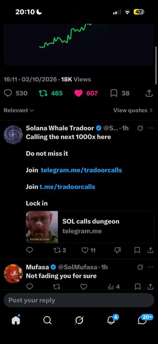 A screenshot of a social media feed displays a post by 'Solana Whale Tradoor' promoting Telegram channels ('t.me/tradoorcalls') for crypto calls, featuring a green trading chart.