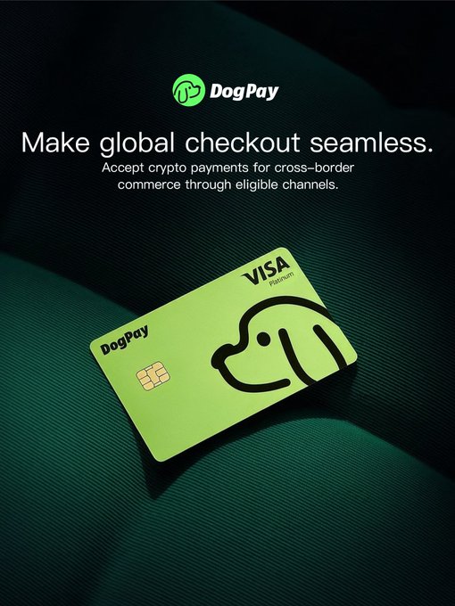 A promotional graphic for DogPay featuring a green Visa Platinum card with a dog logo, with text reading 'Make global checkout seamless. Accept crypto payments for cross-border commerce through eligible channels.'
