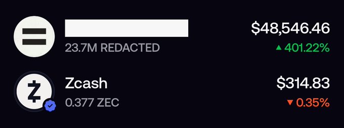 A cryptocurrency balance display showing a redacted asset worth $48,546.46 (up 401.22%) and Zcash at $314.83 (down 0.35%) with a balance of 0.377 ZEC.