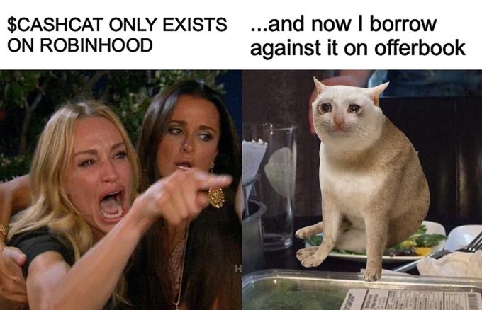 A meme combining the "Woman Yelling at a Cat" format, with the yelling woman labeled "$CASHCAT ONLY EXISTS ON ROBINHOOD" and the confused cat labeled "...and now I borrow against it on offerbook," humorously illustrating the absurd concept of using the fictional $CASHCAT token as collateral for borrowing on offerbook.