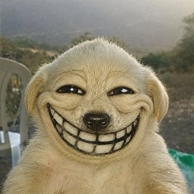 A golden retriever puppy has been digitally edited to have a wide, creepy grinning mouth showing many teeth.