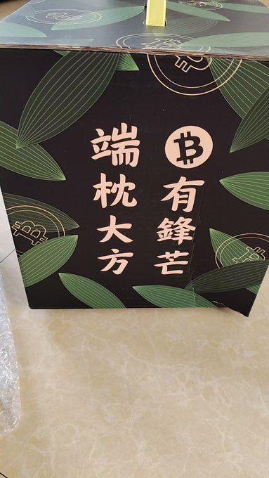 The image features a black box with Chinese characters, which appears to be a Bitcoin-related item or advertisement. The box has a green leaf design on its side, adding an artistic touch to the overall presentation. The text "BTSEChinese" is written in Chinese and can be seen as part of the box's design.