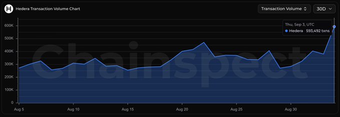 Hedera Transaction Volume Chart from ChainSpect showing 30-day transaction data, with Hedera reaching 593,492 transactions on Thursday, September 5 UTC, peaking near 600K transactions.