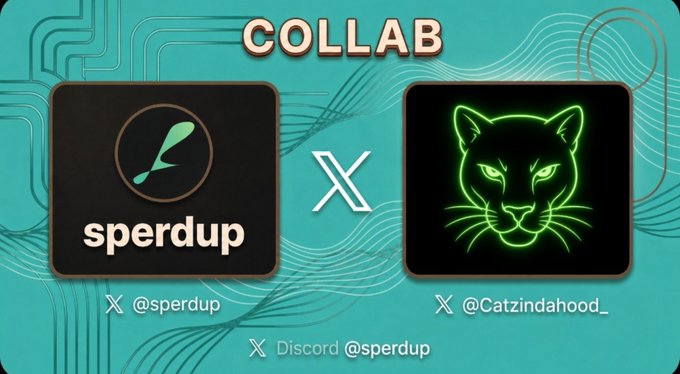 A promotional graphic announces a 'COLLAB' between 'sperdup' and 'Catzindahood_' featuring their logos and social media handles.