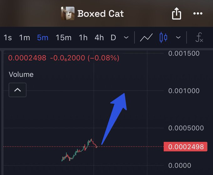 A cryptocurrency or stock chart titled "Boxed Cat" displays the ticker symbol $BOXED with a current value of 0.0002498, showing a 5-minute candle chart where a blue arrow points upward toward higher levels, accompanied by the message "Entries along the way. Stay $BOXED."