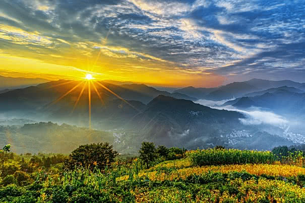 The image shows a beautiful landscape featuring a sunset over mountains and fields of yellow flowers. The sun is setting behind the mountains, casting a warm glow across the scene. The sky is filled with clouds that add depth and texture to the view. In the foreground, there are trees and bushes, providing a sense of scale and context for the vastness of the landscape.