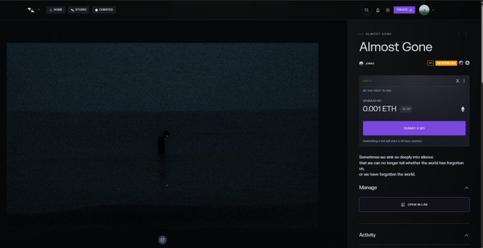 A screenshot of a website titled 'Almost Gone' with a dark, atmospheric image of a person in water. The right panel shows an 'ALMOST GONE' product page with text '0.001 ETH' and 'Sometimes we ask so deeply into silence that we can no longer tell whether the world has forgotten us, or we have forgotten the world.'