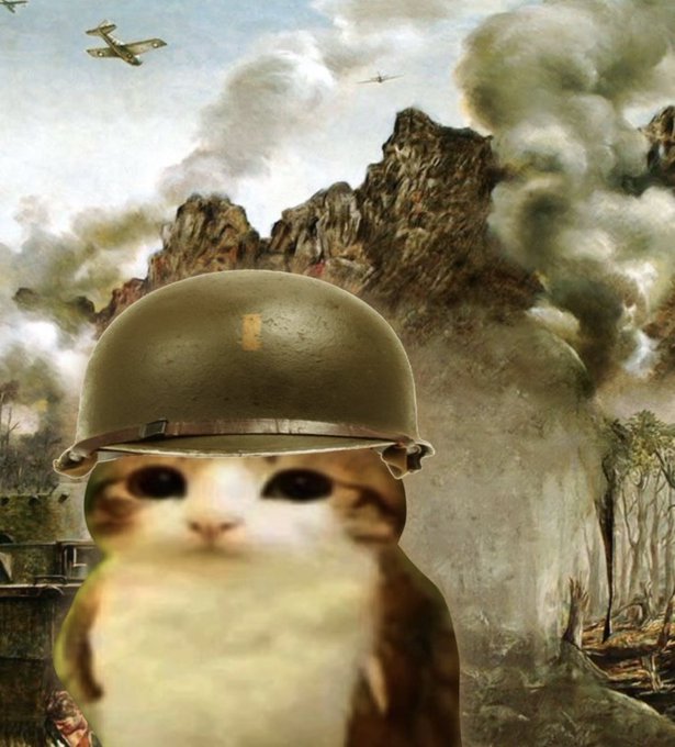 A cute cat wearing an oversized military helmet, set against a dramatic background of mountains, smoke, warplanes, and battlefield scenery.