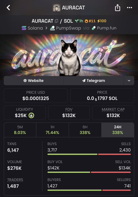A screenshot of the AURACAT ($AURACAT) token on PumpSwap via Pump.fun on Solana, showing a price of $0.0001325 with $25K liquidity, $132K market cap, and strong buy-side activity (3,717 buys vs. 2,430 sells, 1,427 buyers vs. 141 sellers) — supporting the poster's claim of a bullish entry point with potential for a major reversal.