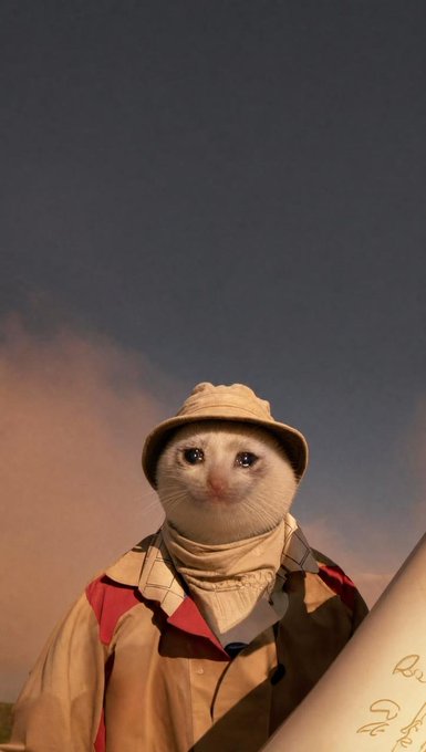 A cat dressed in explorer attire (hat and jacket) stands against a dusky sky, with partial text visible on the right side. The adventurous, "winning" pose of the cat visually reinforces the post's theme of $CASHCAT's triumph, framing the meme coin as a pioneering success on Robinhood.