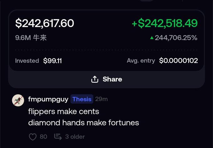 A screenshot showing a cryptocurrency investment gain of $242,617.60 (up 244,706.25%) on 9.6M tokens, with a user's post reading 'flippers make cents diamond hands make fortunes.'