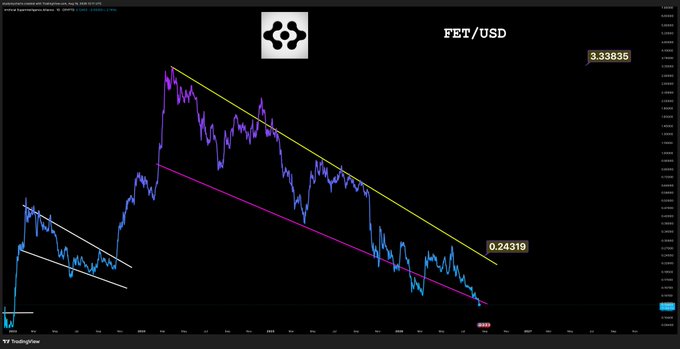 A TradingView chart for FET/USD showing a significant downtrend within a descending channel pattern, with the current price at 0.24319.