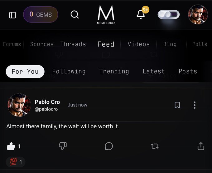 A screenshot of the MEMELinked social platform showing a post by Pablo Cro (@pablocro) saying 'Almost there family, the wait will be worth it.' with the user having 0 GEMS.