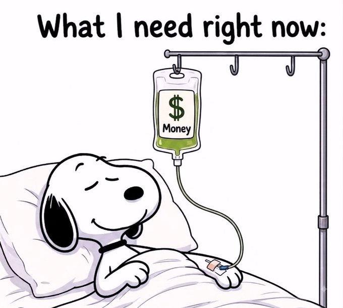A cartoon of Snoopy lying in a hospital bed with an IV drip labeled "$ Money" next to the caption "What I need right now:".
