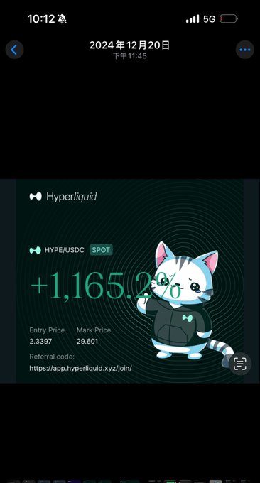 A mobile screenshot from Hyperliquid showing a HYPE/USDC spot position with a +1,165.26 PnL, entry price 2.3397, and mark price 29.601, dated December 20, 2024.