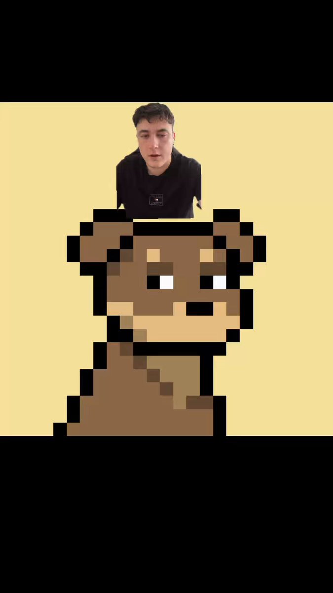 The image features a man with brown hair wearing a black shirt, standing next to a cartoon dog that appears to be a brown bear or a dog. The man's face is partially obscured by the cartoon dog, creating an interesting visual effect. The caption of the image reads "This Week In The @doginaldogs Preparations towards #DDNYC @RegardlessDAO New badge? @Dogwartsdao Wizard ATH SALE".