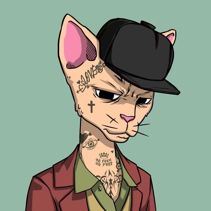 A cartoon illustration of a grumpy Sphynx cat wearing a black baseball cap and maroon jacket, featuring facial and neck tattoos including 'LOVE', a cross, an eye design, and 'NO FACE NO P*WER'.