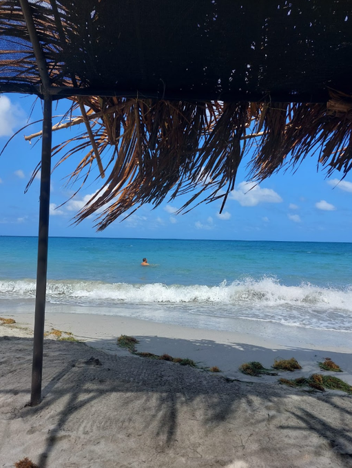 A beach view seen from under a thatched umbrella, with turquoise ocean water and a person swimming in the distance.