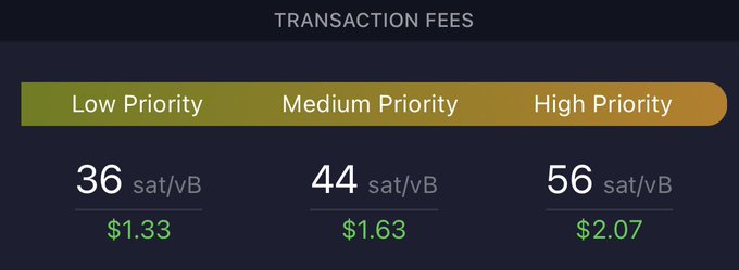 Bitcoin transaction fees showing a temporary spike to 36, 44, and 56 sat/vB ($1.33, $1.63, and $2.07) across low, medium, and high priority tiers, likely caused by the wasteful "wizard hat" stunt criticized in the post.