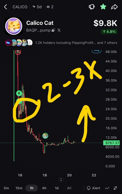 A mobile screenshot of a trading chart for 'Calico Cat' token showing a current price of $9.8K, with yellow handwritten annotations '2-3x' and an arrow pointing upward.