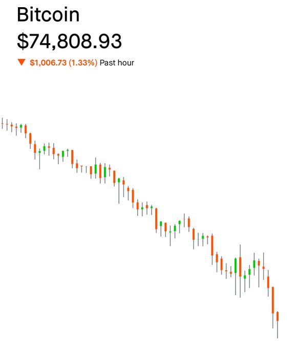 The image is an overlay of a line chart with Bitcoin's price displayed as $74,838.93. It shows that the Bitcoin price has dropped over time, indicating that the cryptocurrency has experienced a recent decrease in value.
