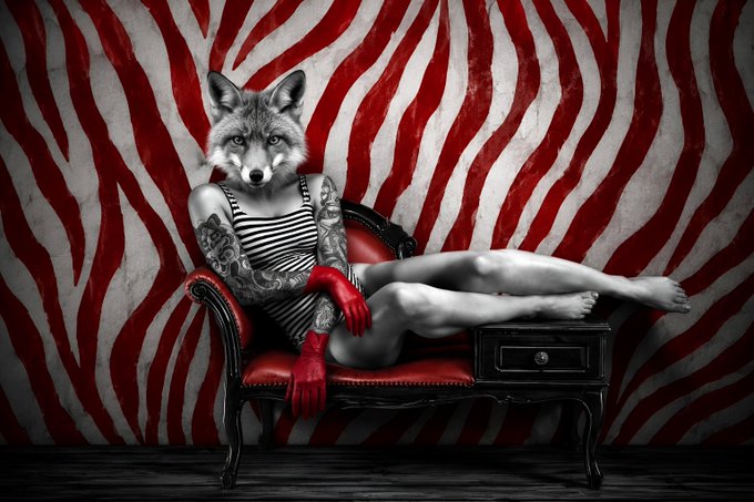 An artistic black-and-white photo of a woman with a wolf's head, tattoos, and red gloves reclining on a red chaise lounge against a red zebra-striped wall.