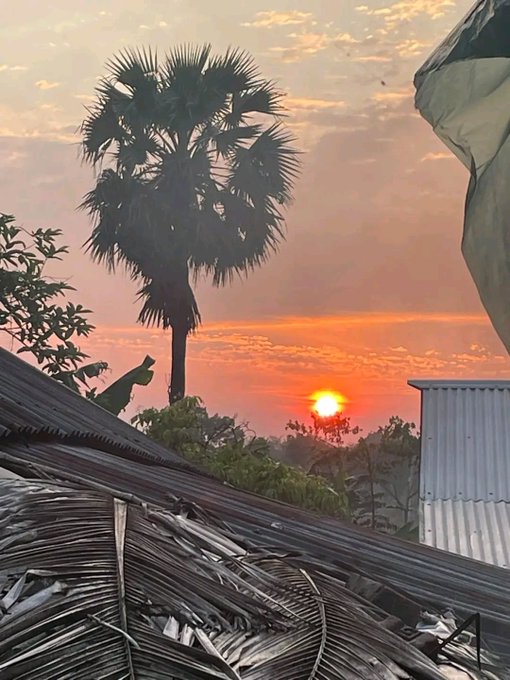 A scenic sunset photo with an orange sky and visible sun, featuring a tall fan palm tree silhouetted in the center, taken above thatched and corrugated metal rooftops.