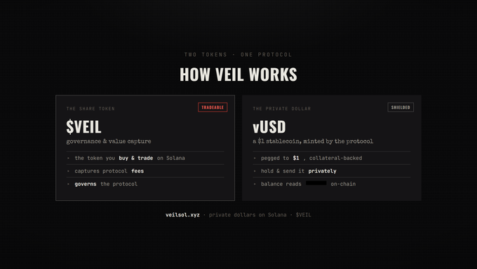 A dark-themed infographic titled "HOW VEIL WORKS" breaks down the protocol's two-token system, presenting $VEIL as the tradable share token for governance and value capture, and vUSD as a $1 collateral-backed private stablecoin, matching the accompanying description of VEIL as the share token and vUSD as the private dollar on Solana.