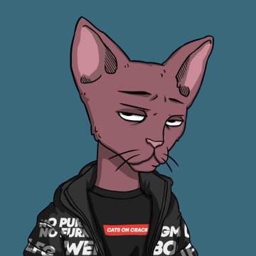 The image features a cartoon cat wearing a black jacket with red text, standing against a blue background. The cat has a serious expression as if contemplating something or observing its surroundings. There are no other objects or texts present in the image.