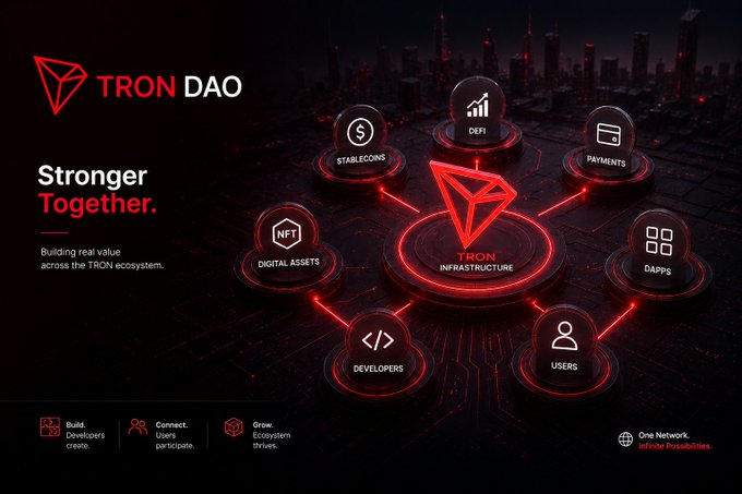 A promotional graphic for "TRON DAO" with the tagline "Stronger Together." displaying the TRON infrastructure connected to Stablecoins, DeFi, Payments, DApps, Users, Developers, and Digital Assets (NFT).