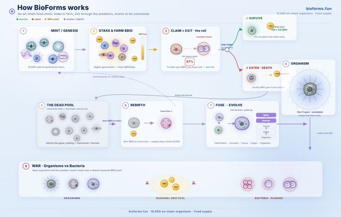 The image presents a complex diagram illustrating the process of how a virus works. It is depicted using various colored shapes representing different stages of the virus's life cycle. The title of this diagram is "How Bioforms Works", indicating its focus on generating viruses. The background features several other shapes and texts, further detailing the process. There are also descriptions provided next to each stage to provide a better understanding of the virus's evolution in terms of its structure and function.