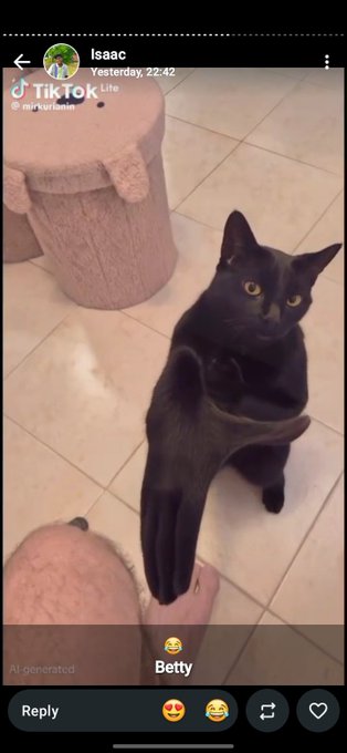 A black cat named Betty sits on a tiled floor looking up curiously at the camera. The TikTok Lite screenshot is from user "Isaac" and the "GM EVERYONE" greeting pairs nicely with the cat's attentive, wide-eyed stare as if ready to greet the day.