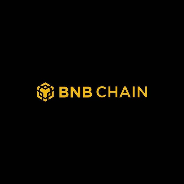 The BNB Chain logo displayed in gold on a black background.