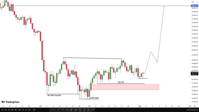 A Bitcoin/USD (BTCUSD) TradingView daily chart shows a bearish downtrend with a "sell-side liquidity" sweep and "turtle soup" pattern in June, followed by an "IDM SSS" consolidation zone in July (~62-65K), with an annotated arrow projecting a bullish breakout toward 80,000+ in early August — aligning with the post's call to prepare for a long position.