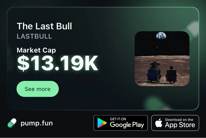 A promotional card for the meme coin 'The Last Bull' (LASTBULL) on pump.fun, showing a market cap of $13.19K and an illustration of a bull and figure watching Earth from the moon.