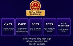A Vietnamese stock market infographic with the header 'ĐỘ TĂI CHÍNH THÀNH ĐỊNH' displaying stock tickers including VIX, CAEX, SCEX, TCEX, and CTSCP along with additional text details.