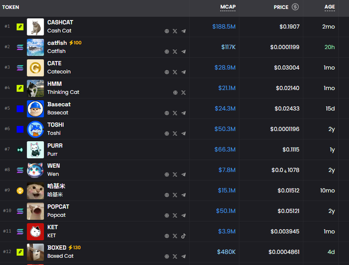A cryptocurrency rankings table displays the top 12 cat-themed tokens by market cap, led by CASHCAT ($188.5M) and including BOXED (#12) at $480K with just 4 days of age. The image supports the post's bullish $BOXED thesis by showing its low market cap ranking among cat tokens, suggesting significant upside potential for a breakout.