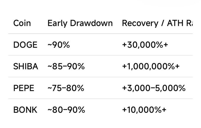 A table comparing cryptocurrency drawdowns and recoveries: DOGE (~90% drawdown, +30,000%+ recovery), SHIBA (~85-90%, +1,000,000%+), PEPE (~75-80%, +3,000-5,000%), and BONK (~80-90%, +10,000%+).