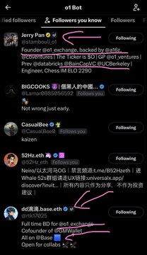 A screenshot of a Twitter/X following list for 'o1 Bot', showing accounts like 'Jerry Pan', 'BIGCOOKS', 'CasualBee', '52Hz.eth', and 'dd满基.base.eth'.