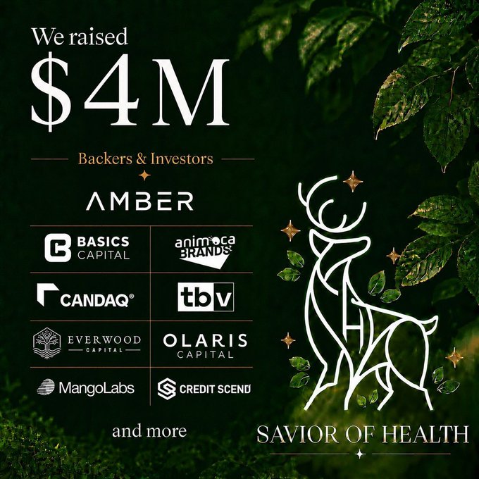 A promotional graphic for "Savior of Health" announcing they raised $4M from backers and investors including Amber, Basics Capital, Animoca Brands, Candaq, TBV, Everwood Capital, Olaris Capital, MangoLabs, and Credit Scend, set against a dark green leafy background with a gold stag logo, supporting the post about an early airdrop opportunity to collect Heal Points.