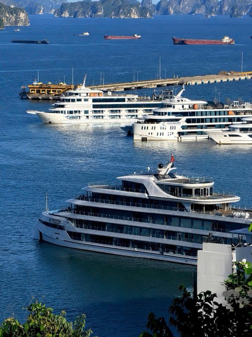 A harbor scene featuring multiple large white luxury cruise ships and yachts docked in blue water, with rocky islands and other cargo vessels visible in the background.