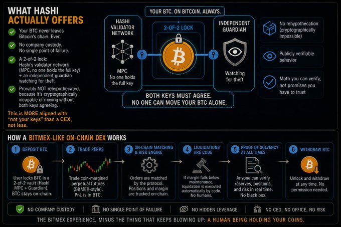 A promotional infographic explaining Hashi's custodial offering, highlighting its 2-of-2 lock system with HASHI Validator Network and an Independent Guardian, eliminating single points of failure and rehypothecation (claiming "more aligned with 'not your keys' than a CEX, not loss"), while also detailing how a "BitMEX-like on-chain DEX" works in 6 steps from BTC deposit to withdrawal. The image supports the post's argument by presenting Hashi as a compromise solution that preserves Bitcoin sovereignty while enabling leveraged perpetual trading, addressing the Bitcoin maxis' concerns about custodial risk and smart contract trust.