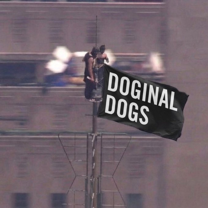 Two people stand on an antenna atop a building, attaching a black flag that reads 'DOGINAL DOGS'.